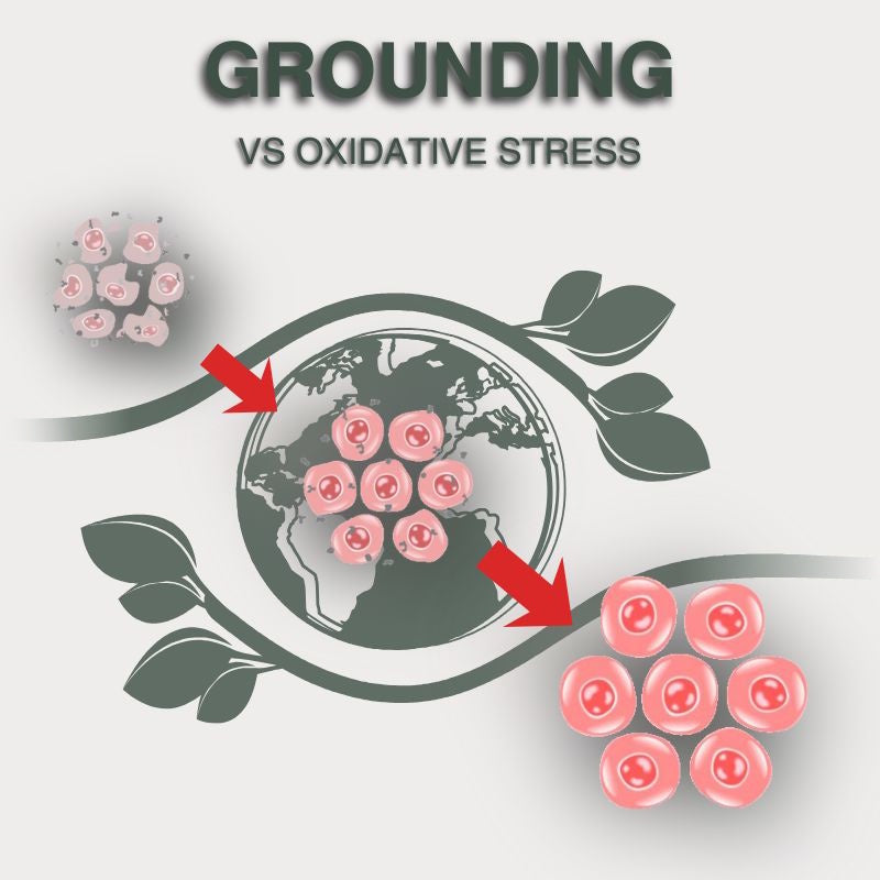 How Grounding May Help Neutralize Free Radicals: A Natural Path to Balance and Health
