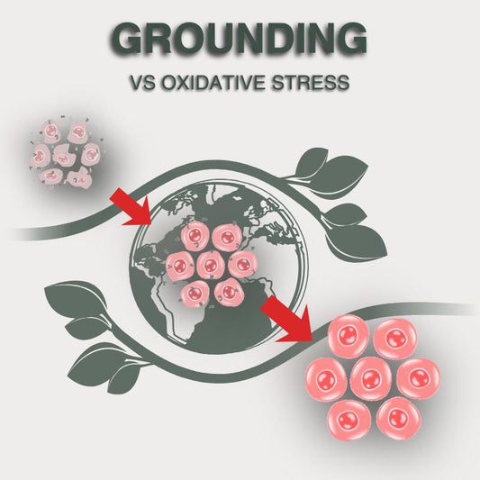 How Grounding May Help Neutralize Free Radicals: A Natural Path to Balance and Health