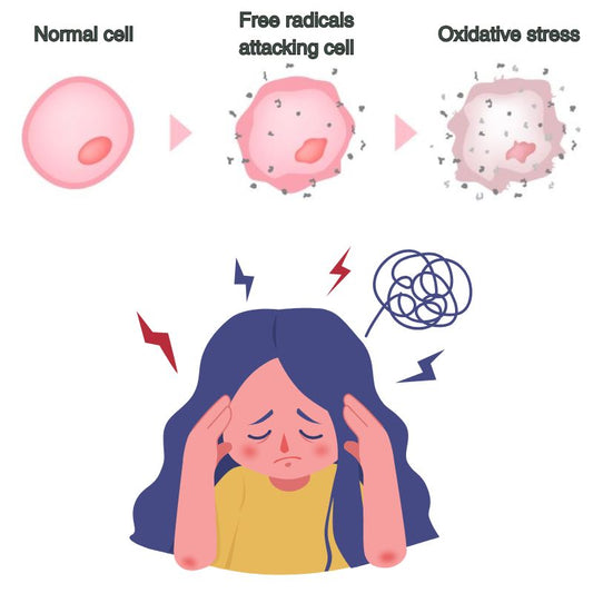 Can Earthing Affect Oxidative Stress?