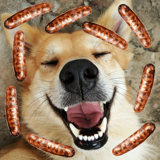 They say: "sausage is not for dogs". And what about grounding??