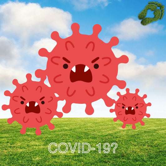 Earthing as a Natural Support Method for Treating COVID-19