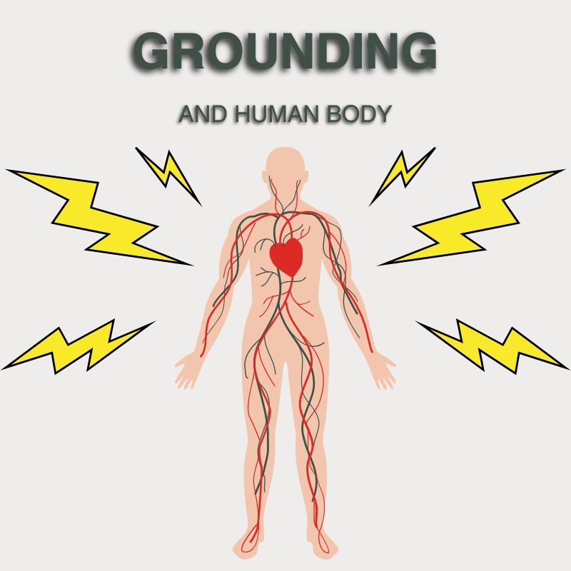 The Electrical Nature of the Human Body and Why Grounding Matters