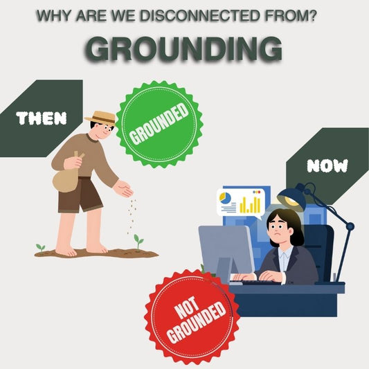 How Modern Lifestyle Disconnects Us From the Earth’s Energy